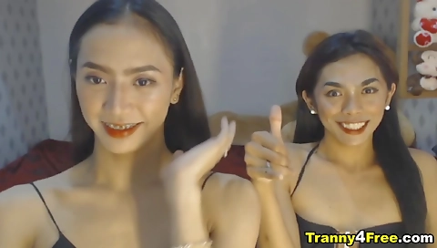 Asian shemale gets double cocked in a hardcore porn video