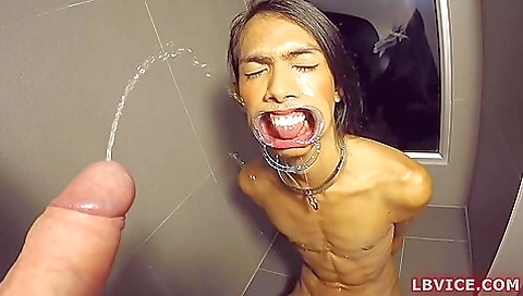 Busty brunette ladyboy with a hot body and a sexy figure