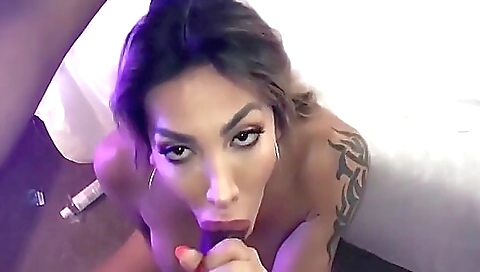 Busty brunette in black pants giving a blowjob to black guy